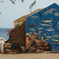 Séjour Bolaxa / Bolaxa