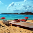 Le Sud / 